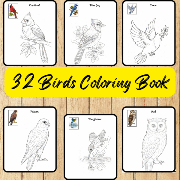Birds Coloring Pages,Digital Instant Download File, Simple Bold Easy Birds Coloring Sheets, Kids Coloring Pages, Girls Coloring Pages,Birds Lover Coloring Pages | #2CP