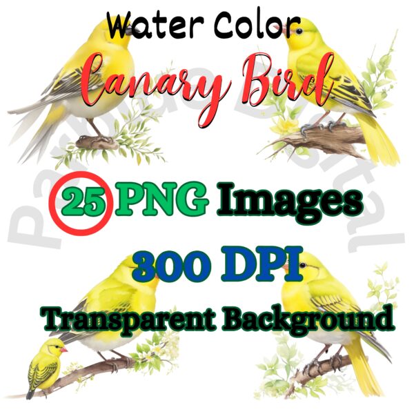 Digital Canary Bird Clip art, Instant Digital Download, Printable Watercolor Clip art, High Quality PNG, Digital download, Paper Craft, Junk journals | # 244 CA
