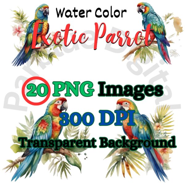 Digital Exotic Parrot Clip Art,Instant Digital Download, Printable Watercolor Clip Art, High Quality PNG, Digital download, Paper Craft, Junk journals | # 222 CA