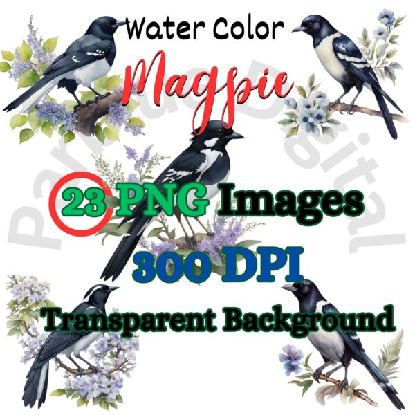 Digital Magpie Clip Art,Instant Digital Download, Printable Watercolor Clip Art, High Quality PNG, Digital download, Paper Craft, Junk journals | # 221 CA
