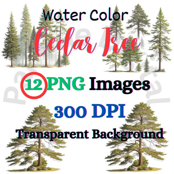 Digital Cedar Tree Clip Art,Instant Digital Download, Printable Watercolor Clip Art, High Quality PNG, Digital download, Paper Craft, Junk journals | # 206 CA