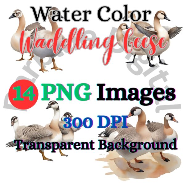 Digital Waddling Geese Clip Art,Instant Digital Download, Printable Watercolor Clip Art, High Quality PNG, Digital download, Paper Craft, Junk journals | # 184 CA
